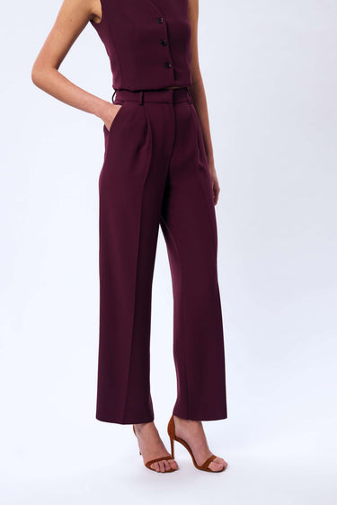 Pleated Trousers