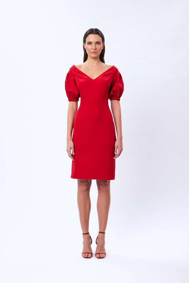 Balloon Sleeve Dress