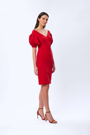 Balloon Sleeve Dress